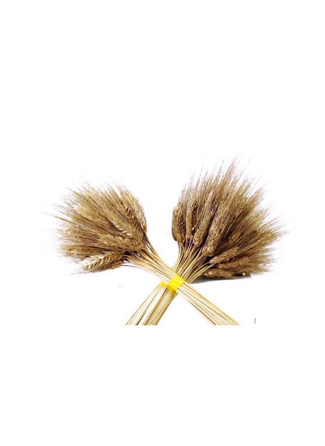 Generic Artificial Dried Wheat Flowers Sheaves Grass Bouquet Bundle  - Image 1