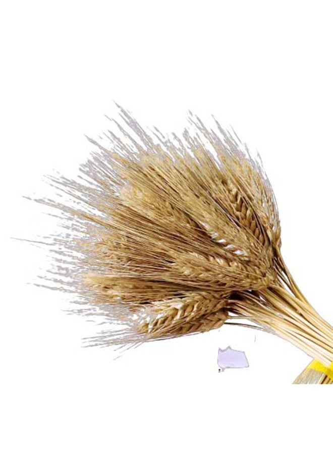 Generic Artificial Dried Wheat Flowers Sheaves Grass Bouquet Bundle  - Image 3