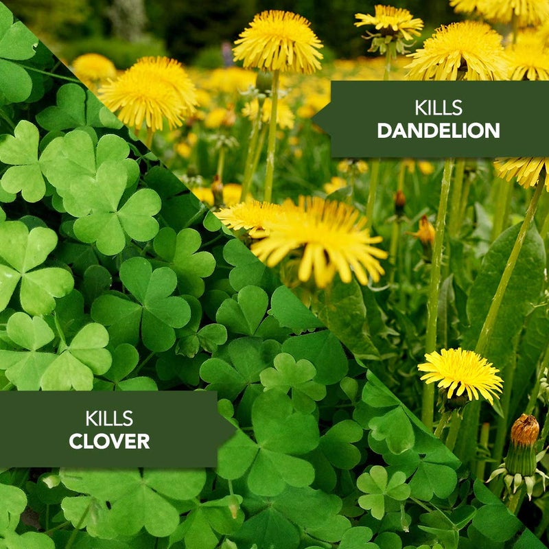 BioAdvanced Weed Killer for Lawns, Concentrate, 32oz - Image 3