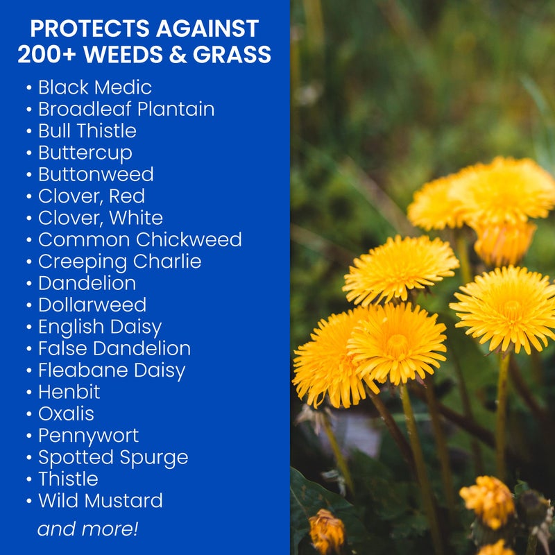 BioAdvanced Weed Killer for Lawns, Concentrate, 32oz - Image 2