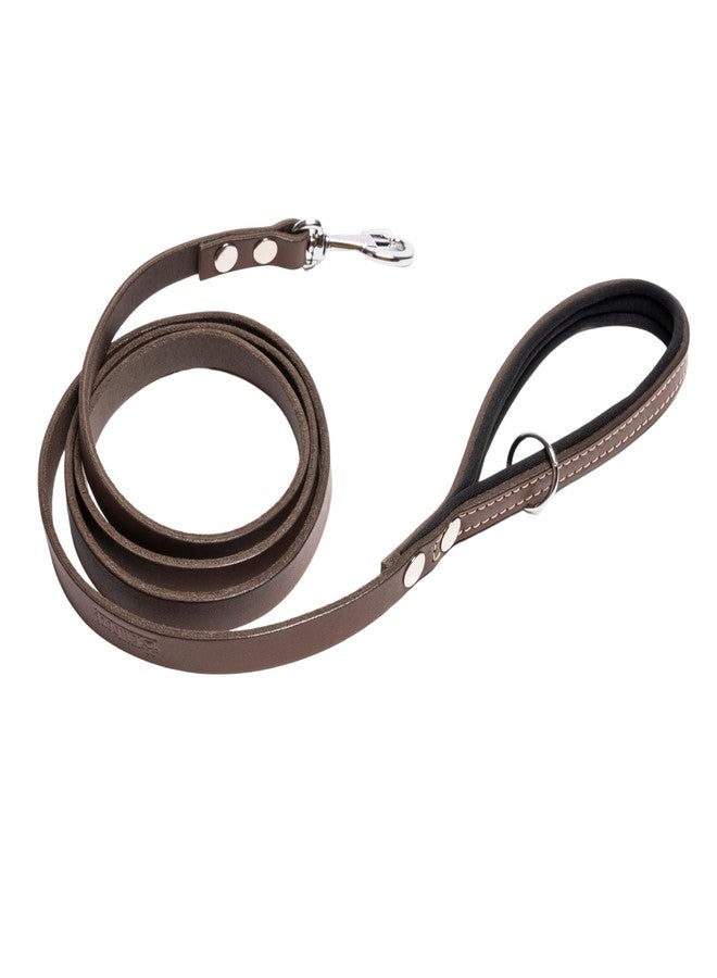 Filbert Genuine Leather Dog Leash, Strong Leather Leash for Small, Medium, Large Breed Dogs, 5.3ft, Soft and Comfortable, Durable, Heavy Duty, Brown - Image 1