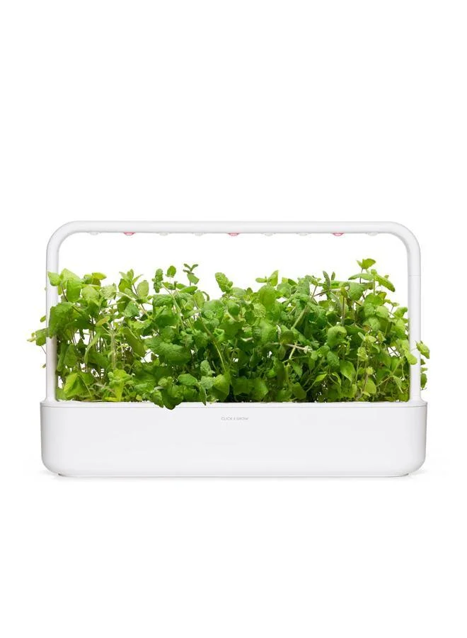 Click & Grow Plant pod 3-pack Apple Mint