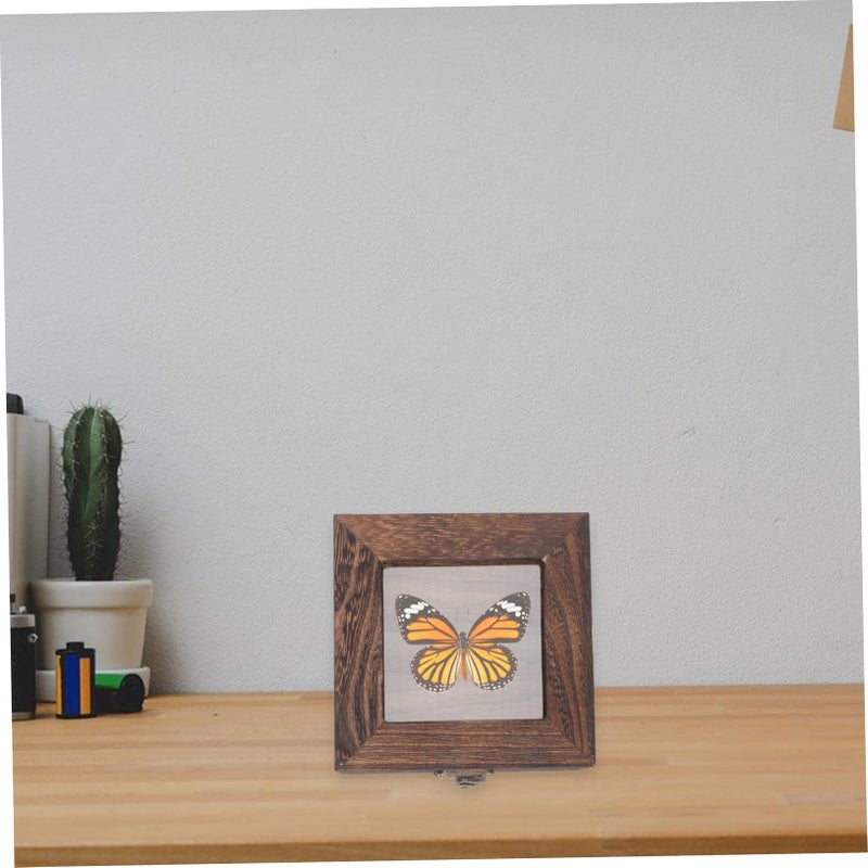 Clear Acrylic Display Case Shadow Box for Entomology Specimens and Collectibles - Image 4