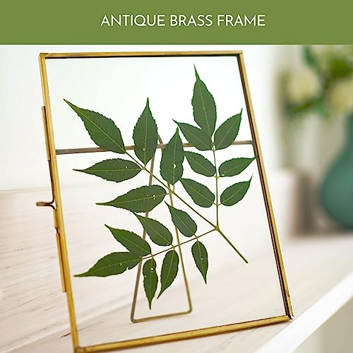 BEHOMA Vintage Style,Brass & Glass Metal Floating Rectangular Picture Tabletop Frame With Locket Closure For Home Decor,Birthday,Anniversary(6X8 Vertical,Antique Gold),5x7 Inches - Image 2