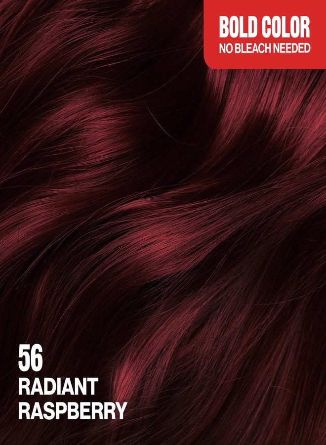 Revlon ColorSilk with Bond Repair Complex, Permanent Hair Color, 100% Gray Coverage, Ammonia Free Dye, Vegan Keratin, 56 Radiant Raspberry, 3 pack - Image 2