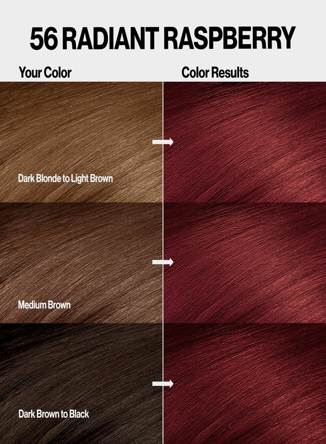 Revlon ColorSilk with Bond Repair Complex, Permanent Hair Color, 100% Gray Coverage, Ammonia Free Dye, Vegan Keratin, 56 Radiant Raspberry, 3 pack - Image 3