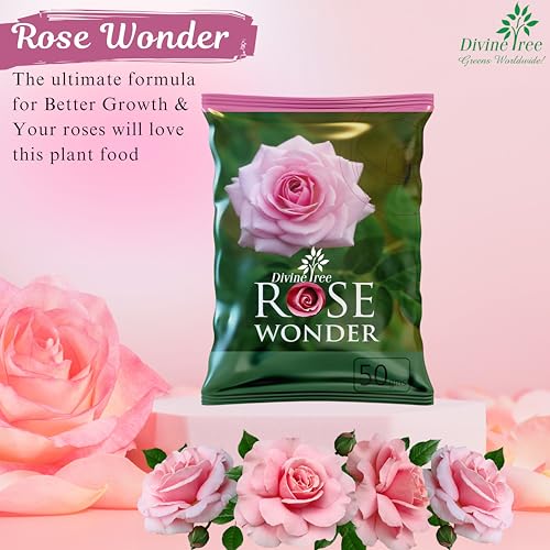 DIVINE TREE Fastroot Rooting Hormone Powder for Plants Cuttings - Boosts Propagation Success & Rosewonder Organic Bloom & Root Booster for Rose Plants - Promotes Stronger Blooms&Greener Leaves(250gm) - Image 3