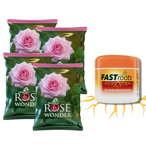 DIVINE TREE Fastroot Rooting Hormone Powder for Plants Cuttings - Boosts Propagation Success & Rosewonder Organic Bloom & Root Booster for Rose Plants - Promotes Stronger Blooms&Greener Leaves(250gm) - Image 1