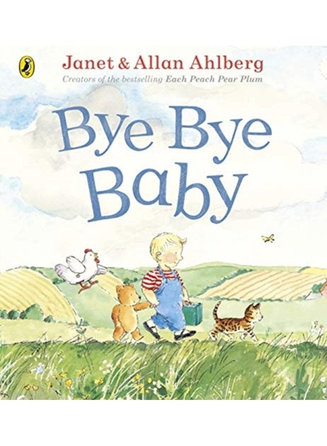 Bye Bye Baby A Sad Story with a Happy Ending - Paperback