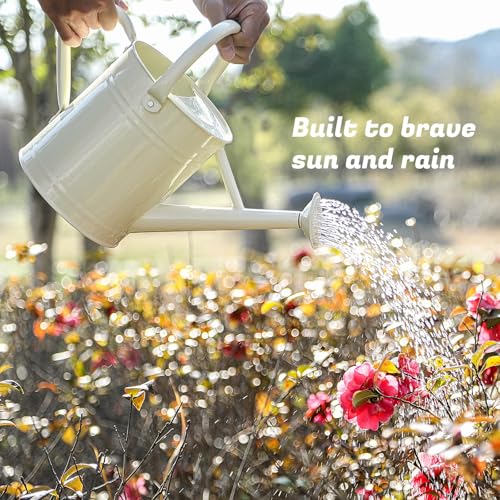 Stdemarzo 1 Gallon Watering Can for Plants Watering Cans for IndoorOutdoor Gardening Galvanized Steel Watering Pot with Removable Spout Metal Water Can with Ergonomic Movable HandleWhite - Image 3