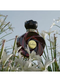 أحمد المغربي عطر جاردينا  - Image 4