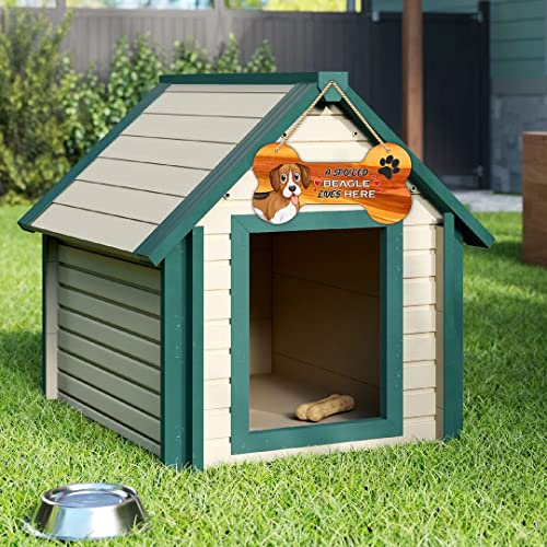 CVANU MDF Wooden Cute Dog Sign Plaque Bone Design A Spoiled Beagle Lives Here Animal Love Board, Name Plate for Dog House Brown & White, Size(10x5) inch - Image 4