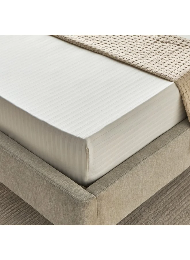 Home Box Hamilton Satin Stripe Twin Fitted Sheet 120 x 200 x 36 cm