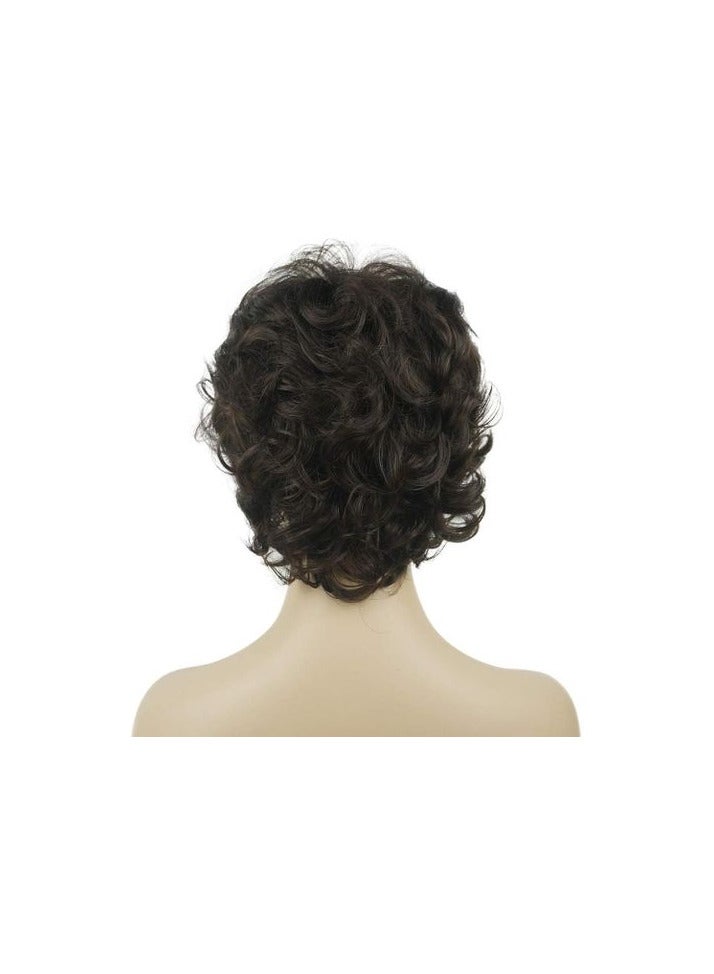 Generic Synthetic Hair Wig Short Wavy Brown Thermal Hair - Image 1