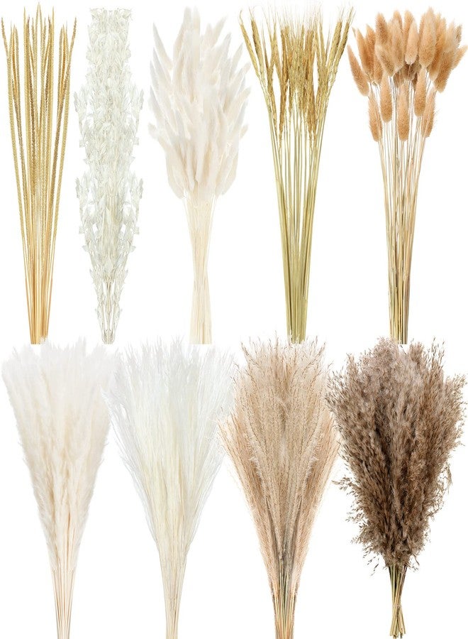 تريلا عشب البامباس المجفف لتزيين حفلات الزفاف بأسلوب بوهيمي، 17 بوصة من عشب البامباس الطبيعي المجفف بكميات كبيرة لتزيين طاولات المنزل أو حفلات المزرعة الريفية - Image 1
