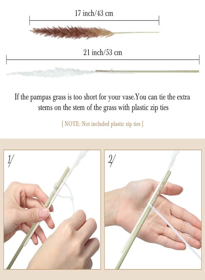 تريلا عشب البامباس المجفف لتزيين حفلات الزفاف بأسلوب بوهيمي، 17 بوصة من عشب البامباس الطبيعي المجفف بكميات كبيرة لتزيين طاولات المنزل أو حفلات المزرعة الريفية - Image 2