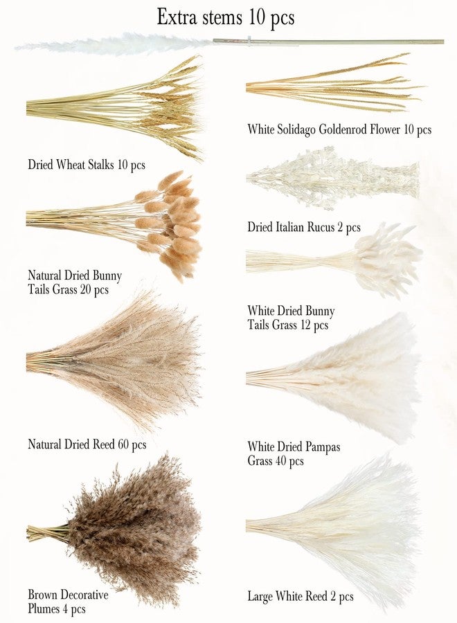 تريلا عشب البامباس المجفف لتزيين حفلات الزفاف بأسلوب بوهيمي، 17 بوصة من عشب البامباس الطبيعي المجفف بكميات كبيرة لتزيين طاولات المنزل أو حفلات المزرعة الريفية - Image 3