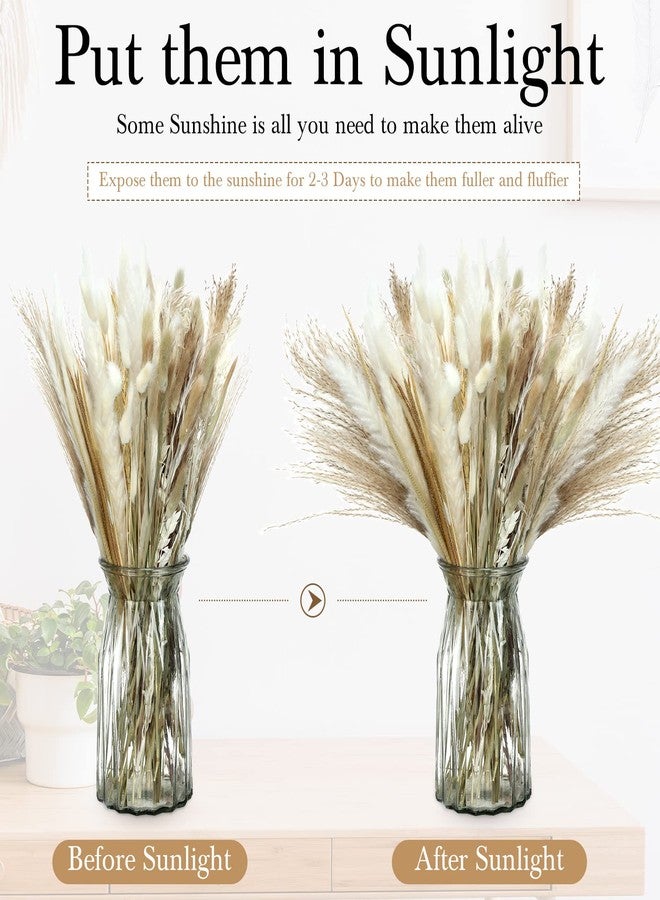 تريلا عشب البامباس المجفف لتزيين حفلات الزفاف بأسلوب بوهيمي، 17 بوصة من عشب البامباس الطبيعي المجفف بكميات كبيرة لتزيين طاولات المنزل أو حفلات المزرعة الريفية - Image 4