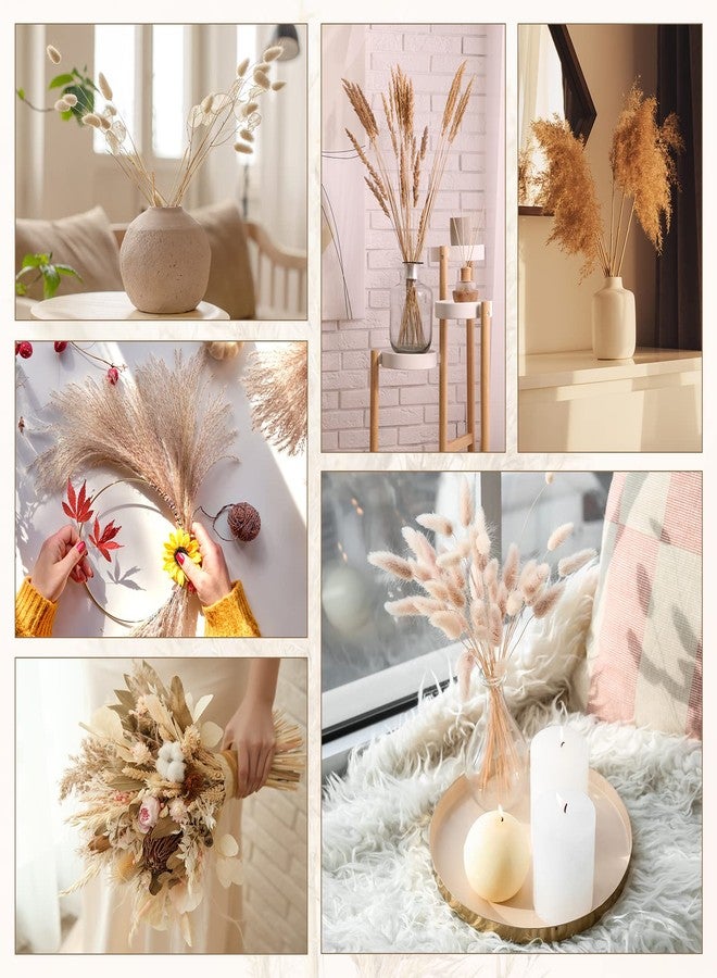 تريلا عشب البامباس المجفف لتزيين حفلات الزفاف بأسلوب بوهيمي، 17 بوصة من عشب البامباس الطبيعي المجفف بكميات كبيرة لتزيين طاولات المنزل أو حفلات المزرعة الريفية - Image 5