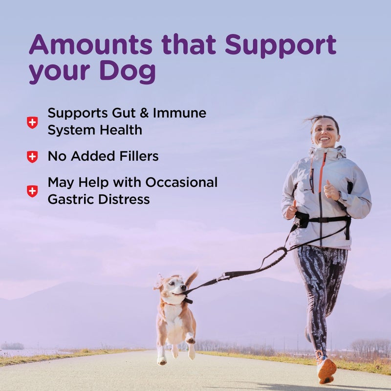 nutri vet Nutri-Vet Bladder Control Supplement, Cranberry Supplement, Dog Products, Immune Support, Helps Dog Urinary Incontinence, Bladder Control Pills, Urinary Tract Health, Puppy Support, 90 Tablets - Image 5