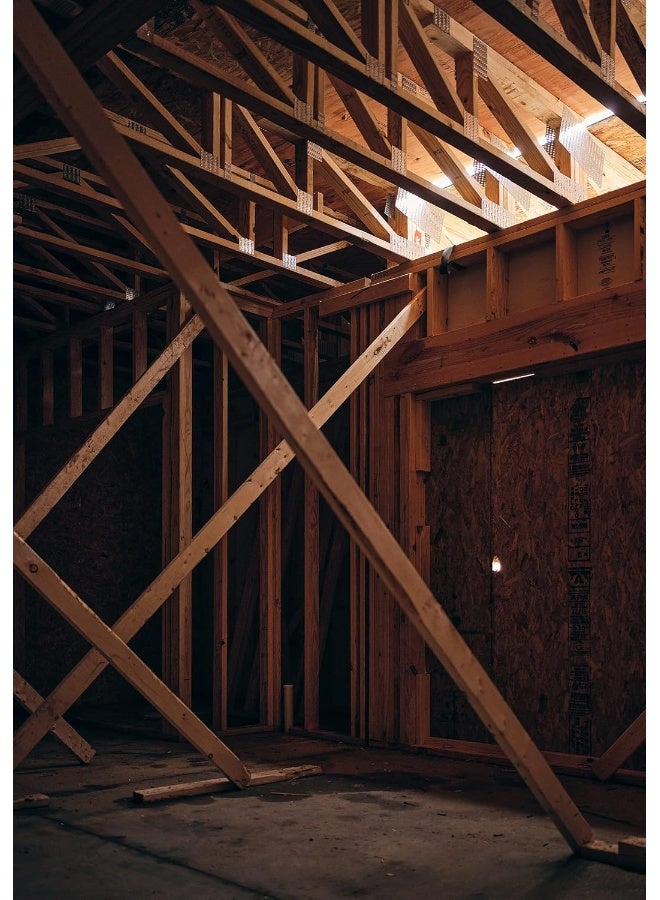 American Framing: The Same Something for Everyone  - Image 4