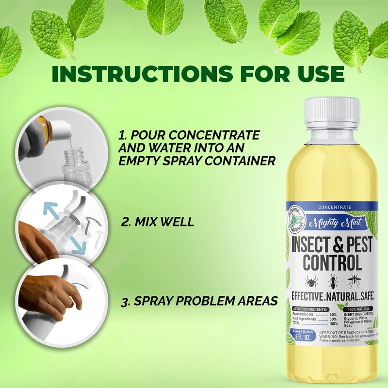 Mighty Mint Peppermint Oil Insect Repellent Concentrateâ€“ Natural Indoor & Outdoor Bug Control for Spiders, Ants, Roaches, and More â€“ Plant-Based, Extra-Strong Formula - 8 oz - Image 2