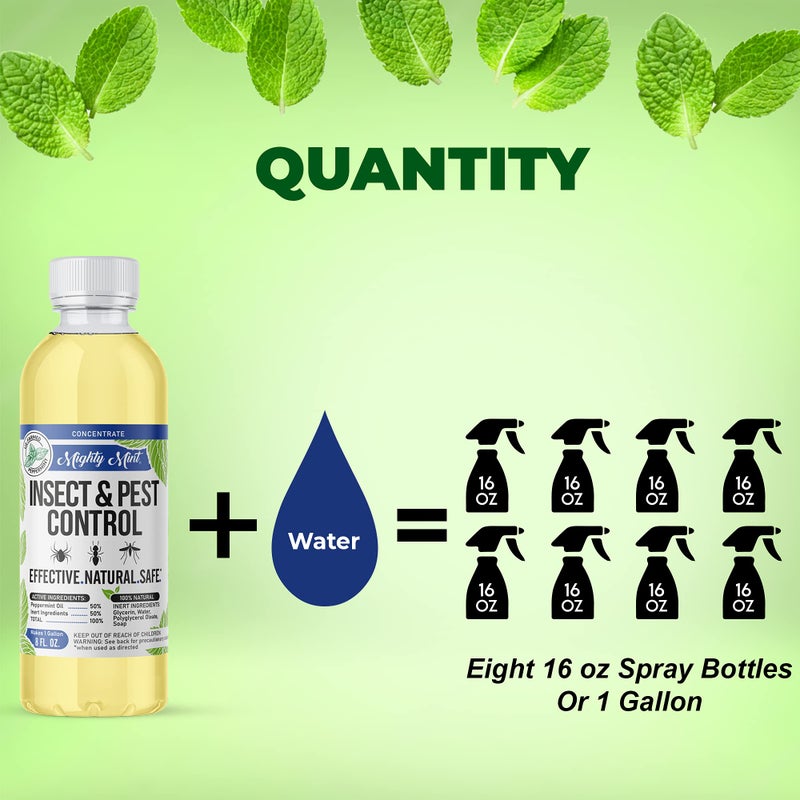 Mighty Mint Peppermint Oil Insect Repellent Concentrateâ€“ Natural Indoor & Outdoor Bug Control for Spiders, Ants, Roaches, and More â€“ Plant-Based, Extra-Strong Formula - 8 oz - Image 3