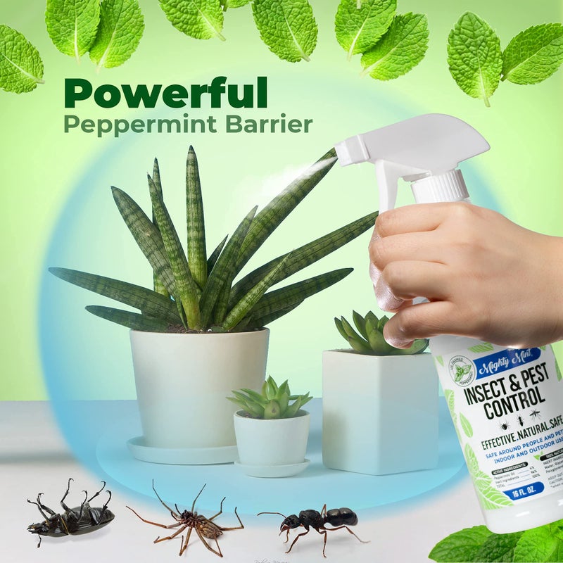 Mighty Mint Peppermint Oil Insect Repellent Concentrateâ€“ Natural Indoor & Outdoor Bug Control for Spiders, Ants, Roaches, and More â€“ Plant-Based, Extra-Strong Formula - 8 oz - Image 5