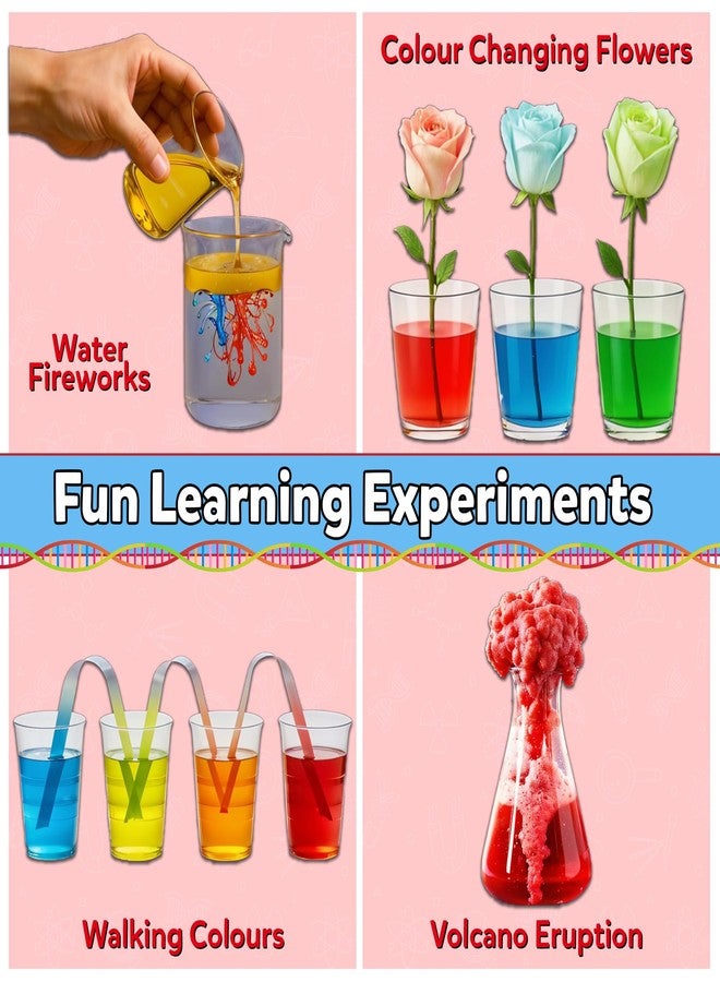 Little Berry First Science Kit for Kids: 70+ Science Experiments | STEM Kit for Kids | DIY Kit with Materials | Science Experiment Kit | Educational & Learning Toys for 6-12 Year Boys & Girls - Image 2