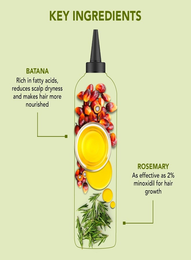 Botanic Hearth Rosemary & Batana Hair Oil with Biotin | 100% Natural Oils | Non-Sticky, Fast Absorbing | Promotes Hair Growth, Nourishment & Shine | 5-in-1 Hair Care | 6.7 fl oz Set of 2 - Hair Tonic - Image 2