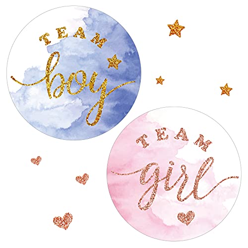 Zonon 120 Pcs Gender Reveal Stickers 2 Inch Gold Glitter Pink Blue Team Girl or Boy Bee Team He or She Baby Shower Labels Sticker for Gender Reveal Party Games Supplies(Boy and Girl) - Image 1