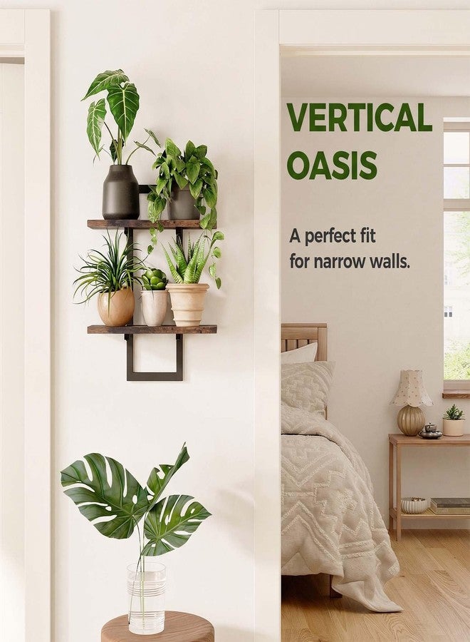 Bamworld Wall Planters for Indoor Plants Window Plant Shelves Vertical Plant Holder Wall Decor Plant Stand Indoor Floating Shelves for Plant Hangers for Living Room Bedroom Bathroom - Image 2