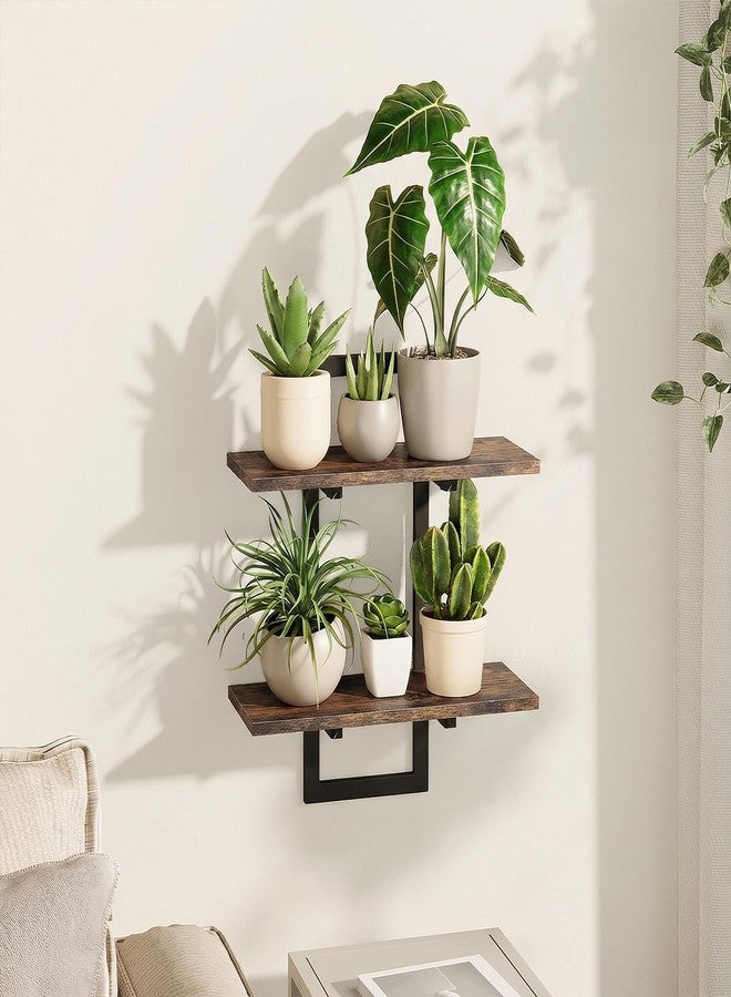 Bamworld Wall Planters for Indoor Plants Window Plant Shelves Vertical Plant Holder Wall Decor Plant Stand Indoor Floating Shelves for Plant Hangers for Living Room Bedroom Bathroom - Image 1
