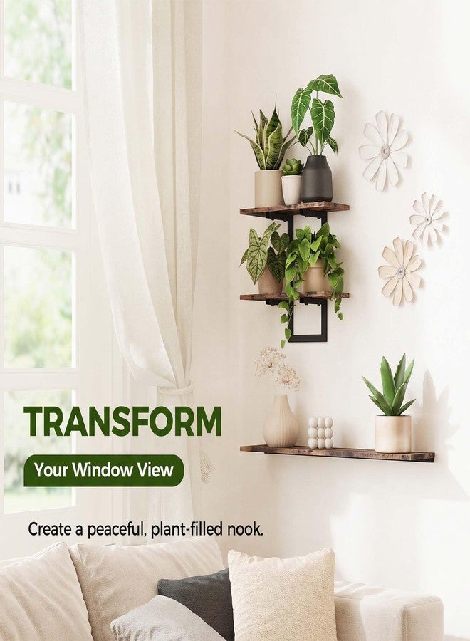 Bamworld Wall Planters for Indoor Plants Window Plant Shelves Vertical Plant Holder Wall Decor Plant Stand Indoor Floating Shelves for Plant Hangers for Living Room Bedroom Bathroom - Image 4