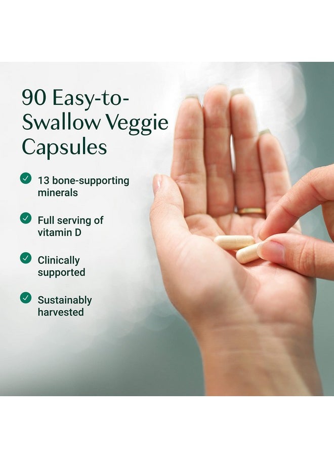 ALGAECAL - Plant Based Calcium Supplement With Vitamin D3 (1000 Iu) For Bone Strength Contains 13 Trace Minerals Supporting Bone Health Organic Calcium For Women & Men 90 Veggie Caps - Image 1
