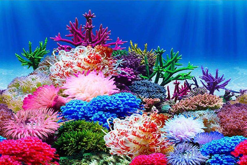 ELEBOX Aquarium Background Poster, Undersea Water Plants Sea Anemone Coral Aquarium Decor Background Double Sides Fish Tank Background Sticker Decorations 10 Gallon 20 Gallon Tank 11.8"x24.4"