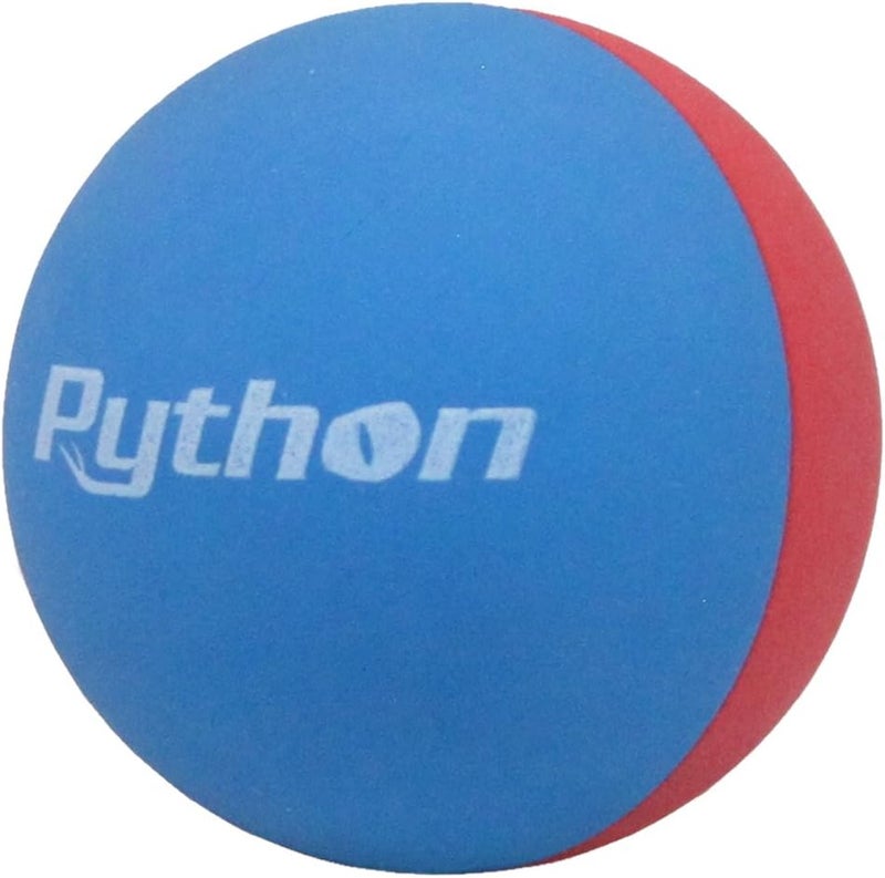 Python Racquetball Python RG Multi Colored Racquetballs (Value Pack - 12 Ball Jug/Endorsed by Racquetball Legend Ruben Gonzalez!) - Image 3