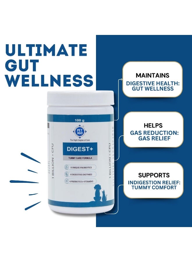 بيت360 PET360 Digest+ Tummy Care Formula | مكمل صحة الأمعاء للكلاب والقطط | البروبيوتيك والبريبايوتكس والإنزيمات الهضمية والفيتامينات لتحسين الهضم والمناعة | مناسب لجميع السلالات - 100 جم - Image 4