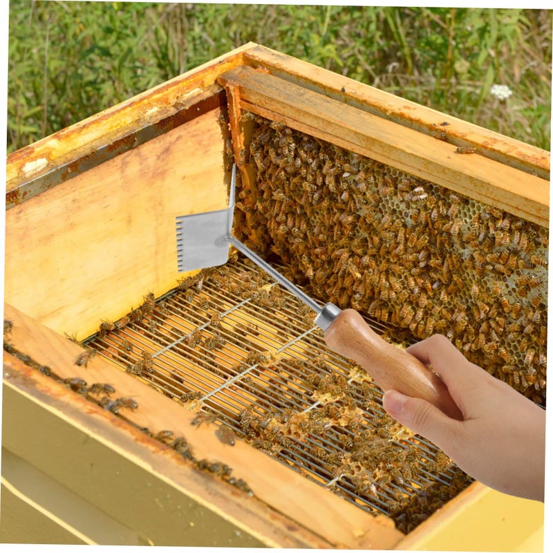 Professional Beekeeping Shovel Steel Blade With Wooden Handle Beehive Frame Tool 1 Pack - Image 5