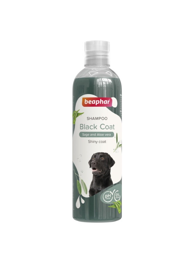 بيفار شامبو بلاك كوت للكلاب 250 مل - Image 1