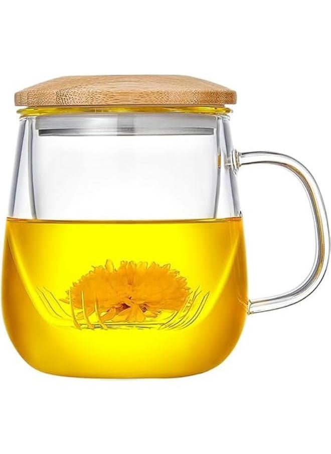 HOOKOR Glass Tea Cup with Infuser and Lid, Steeping Mug with Removable Strainer and Lid for Loose Leaf Tea, Borosilicate Glass Mug for Blooming Tea (400ml)  - Image 1