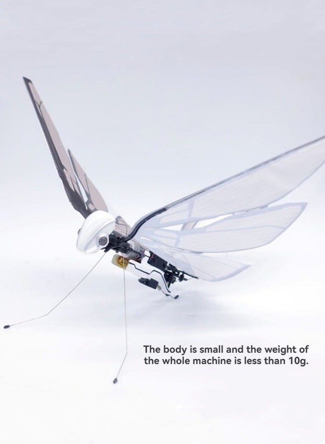 M MIAOYAN Bionic intelligent flying insect electric remote control toy small drone aircraft pet  - Image 4
