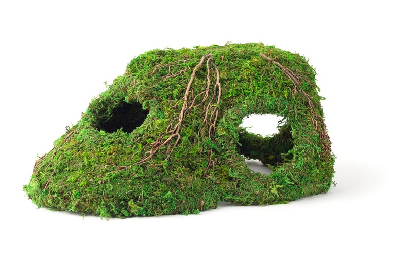 Galapagos GalÃ¡pagos (05370) Mossy Sapa Corner Hide - The Perfect Reptile Hide for Security and Comfort - A Natural and Secure Hide for Reptiles, Amphibians, and Invertebrates, L10â€ x W5.5â€ x H4.5â€ - Image 1