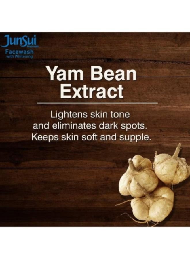 Junsui Face Wash With Whitening 100 g Radiance - Image 4