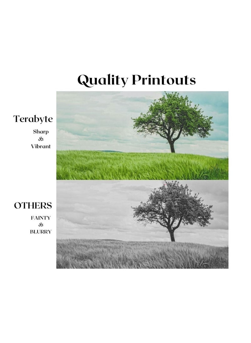 Terabyte 2309 COMPATIBLE TONER TERABYTE - Image 2