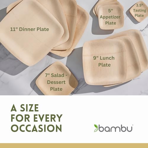 Bambu Pack of 25-9 Inch Disposable Bamboo Plates Square, Biodegradable Eco Friendly Products, Bamboo Disposable Plates for Events, Compostable Plate - Image 3
