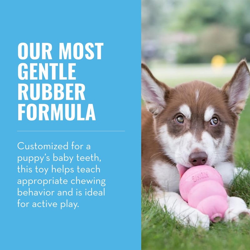 KONG - Puppy Toy Natural Teething Rubber - Fun to Chew, Chase and Fetch - for Medium Puppies - Pink - Image 2