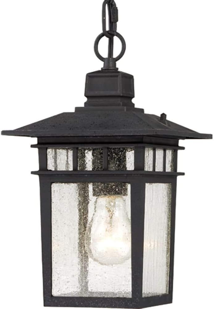 Nuvo 604956 One Light Hanging Lantern UNKNOWN Black - Image 2