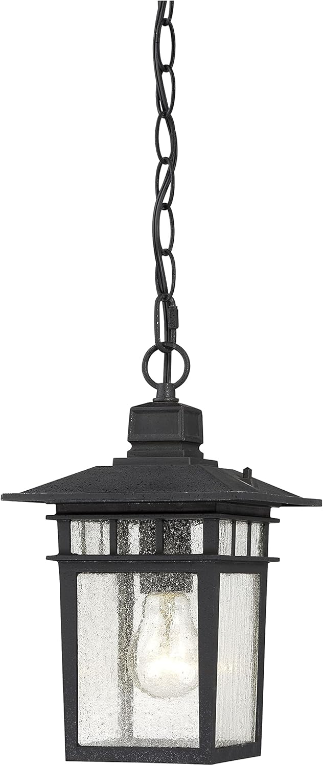 Nuvo 604956 One Light Hanging Lantern UNKNOWN Black - Image 1