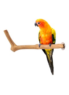 CHEWY BEAK Birds Stand Java wood small Parrot small Birds Cocktiel Love birds Sun Conures Wood Perch Natural Indonesian Wooden Tree branch Cage Accessories stick  - Image 1